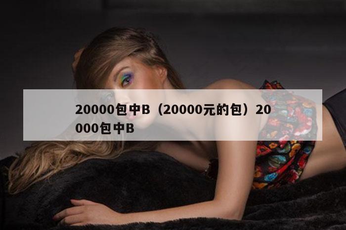 20000包中B（20000元的包）20000包中B